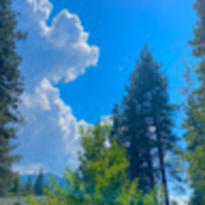 Meet your Posher, Ida